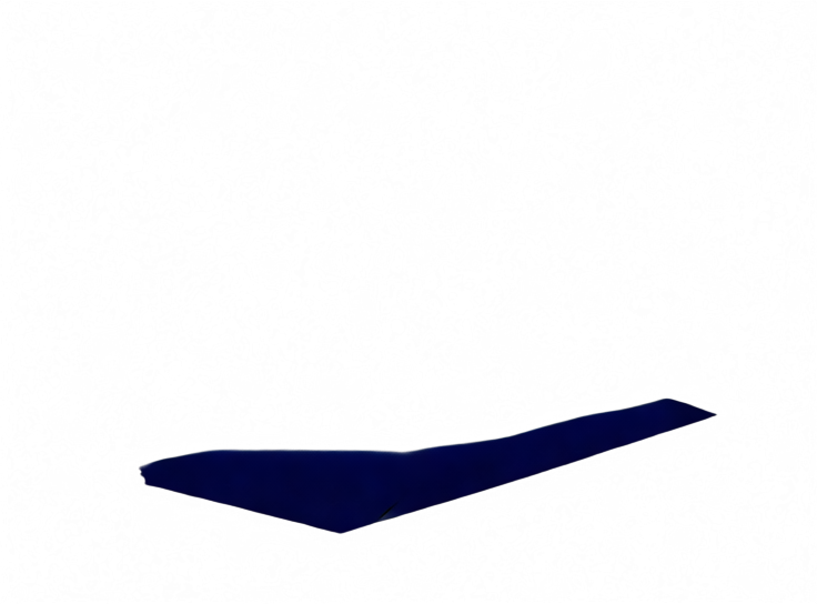 Layer 5